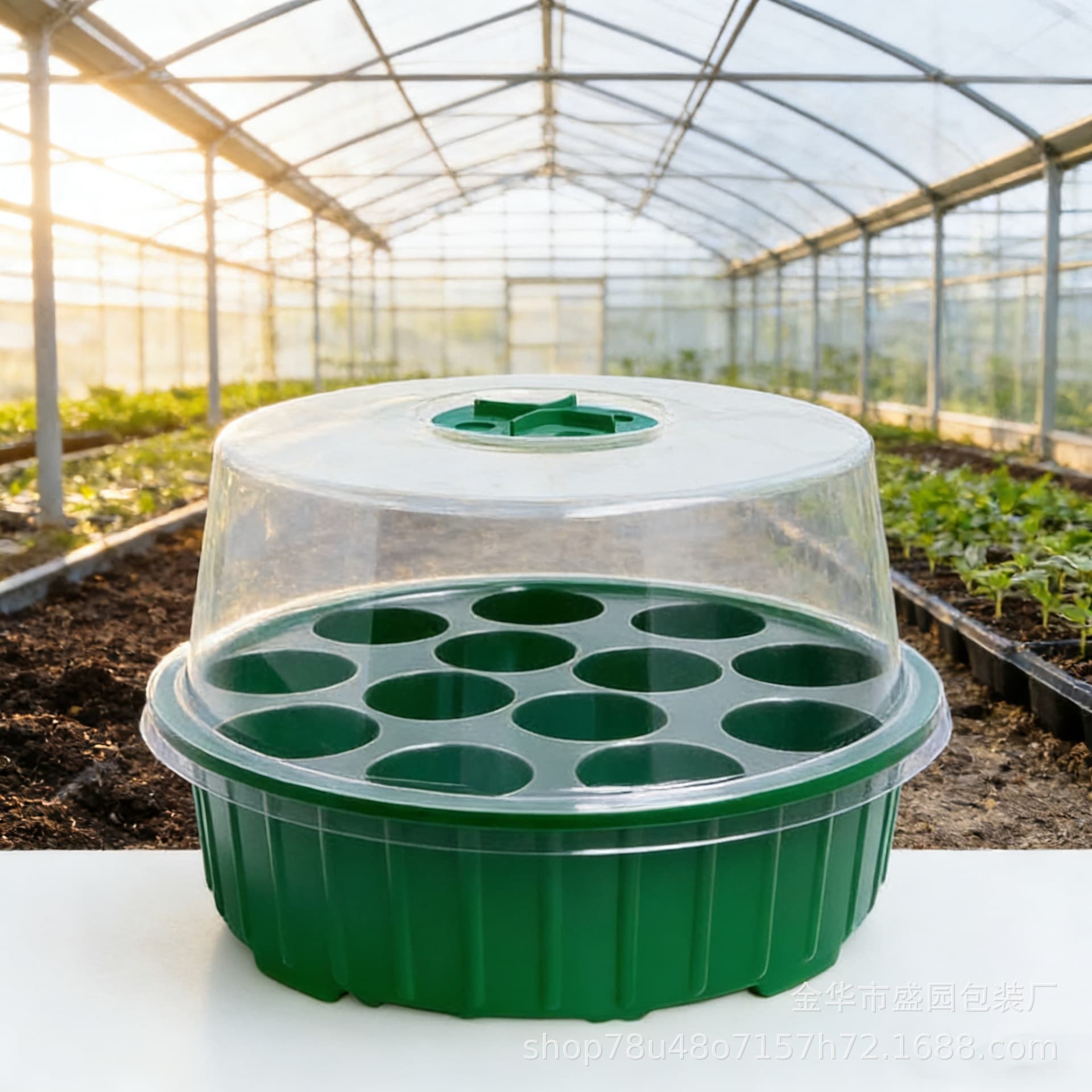 13-Hole Round Seedling Tray for Home Garden Planting, Bean Sprouts, Flower Seedlings, Vegetable Planting, Cross-Border Gardening Cultivation