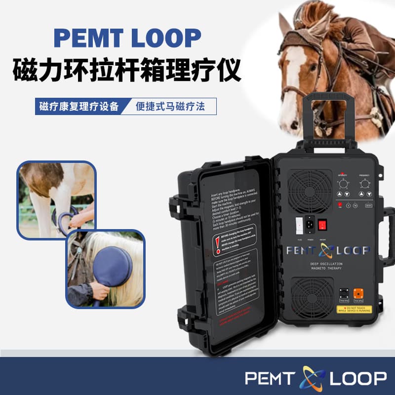 PEMF LOOP Animal Dual-Channel Magnetic Therapy Machine Portable Case Equine Injury Recovery Sports Rehabilitation Pain Relief