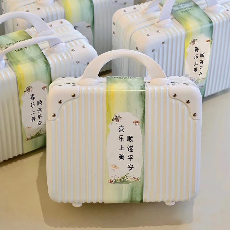 Mini Suitcase Makeup Box 14-inch Gift Handbag Travel Organizer with Password Lock