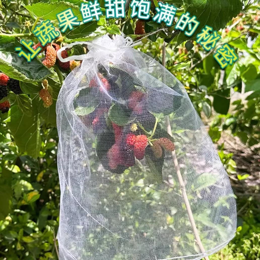 General Insect Netting Fruit Tree Bag Bird Proof Protective Fruit Cover Peach Insect Pest Dense Mesh Breathable Net