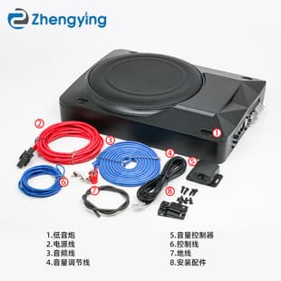 Factory Wholesale Car Audio Ultra-Thin Seat Subwoofer 8 Inch 10 Inch with Tweeter Subwoofer 12V with Wiring