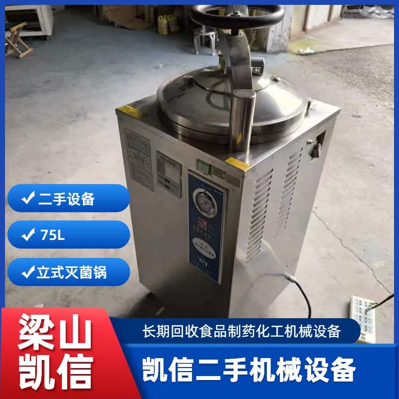 Portable High-pressure Steam Sterilizer Disinfection High-temperature High-pressure Sterilizer Pot Laboratory Vertical Sterilization Pot