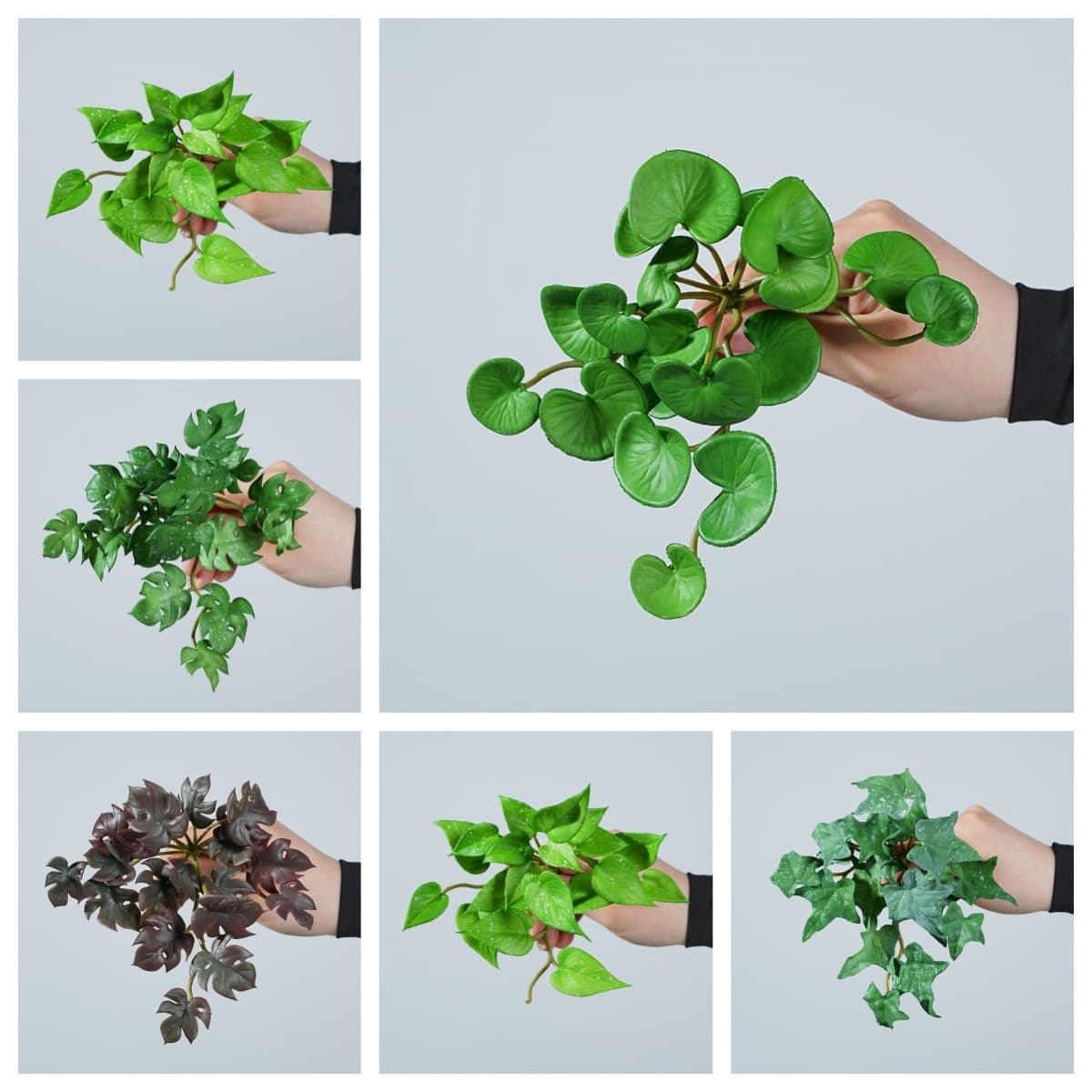 Artificial green plants including pennywort, anthurium, monstera, clover, soft rubber succulents, hanging home decoration landscaping plants