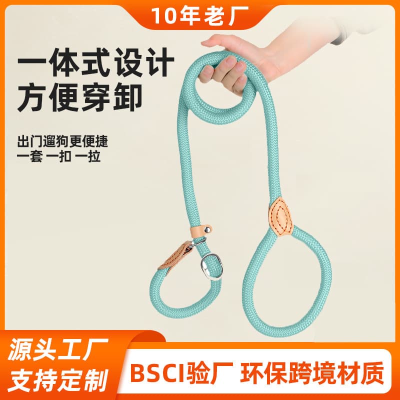 Thickened Extended Anti-Bite P Chain Dog Leash Nylon Suture Pet Dog Chain Training Lead P Rope Durable Accessories