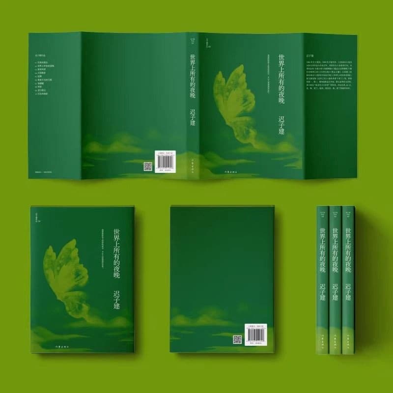 All the Nights in the World" - Representative Novel by Mao Dun & Lu Xun Literary Award Winner Chi Zijian - Authentic Book