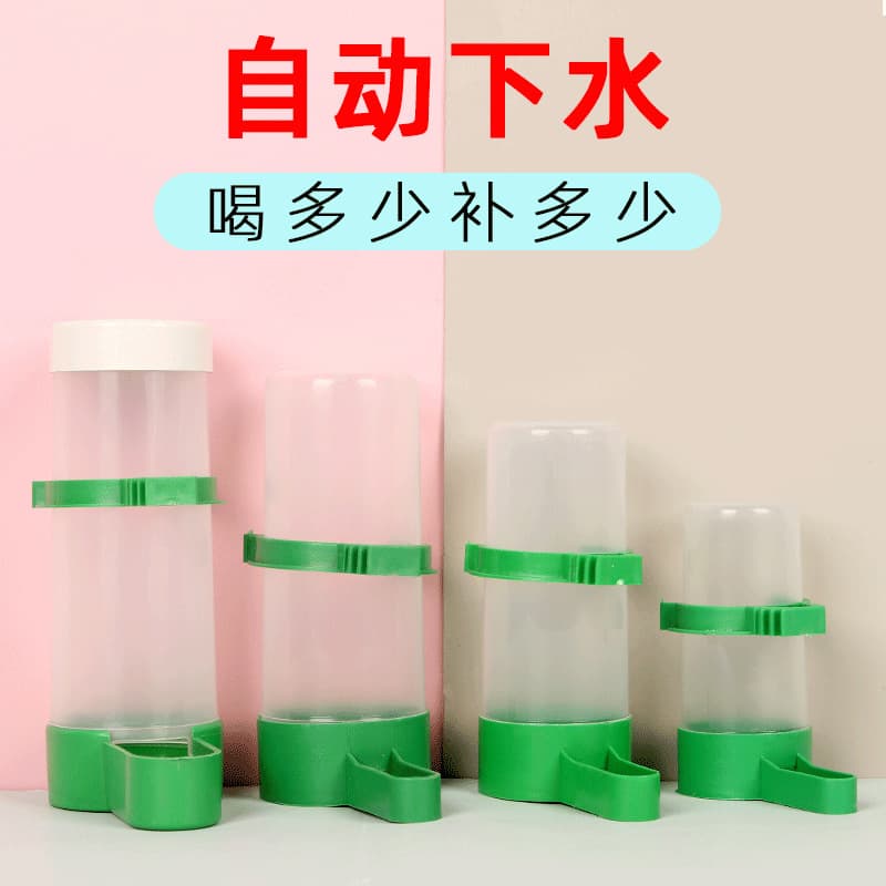 Cross-border Bird Automatic Waterer Feeder Dispenser Parrot Pet Anti-Spill Water Bottle Cup Bowl Bird Supplies