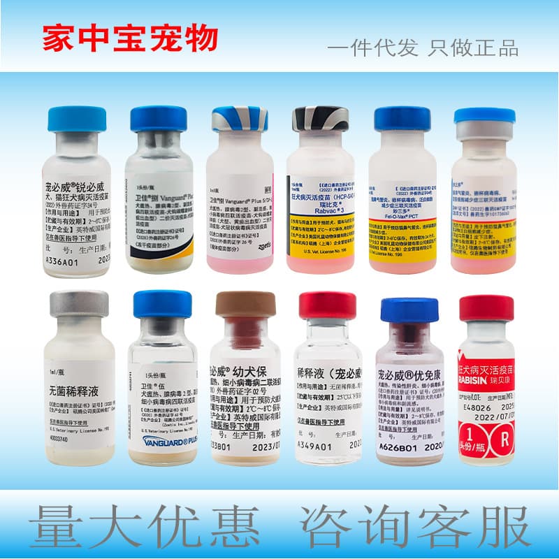 Pfizer Feline Triple, Rabies, Vanguard 5, Vanguard 8, Intervet, Nobivac, Vaccine 2, 4, 6, Merial