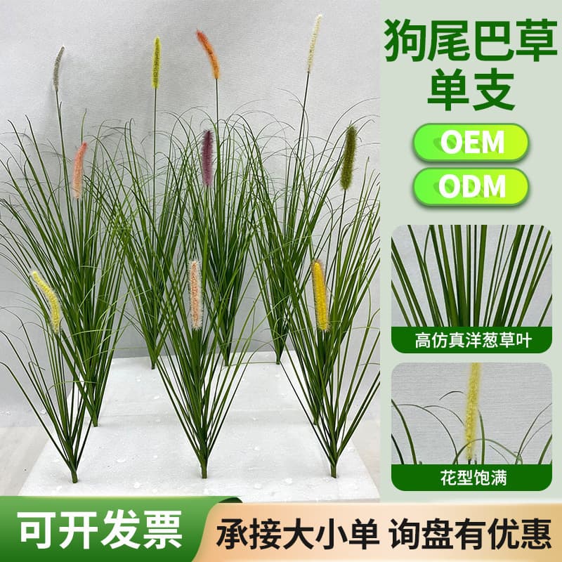 Green Plant Pampas Grass Single Stem Dog Tail Reed Plant Wall Landscaping Courtyard Factory Direct Wholesale Spot Direct Delivery Simulation