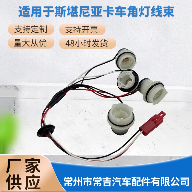 1732515 1467007 Compatible with Scania Truck Wiring Harness Corner Light Harness 1385411