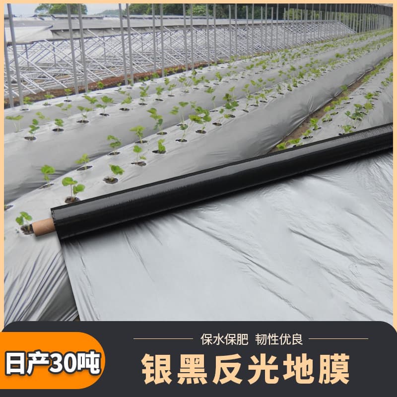 Thickened agricultural PE double-layer greenhouse film, pepper black and white agricultural film, special perforated plastic greenhouse film for growing vegetables