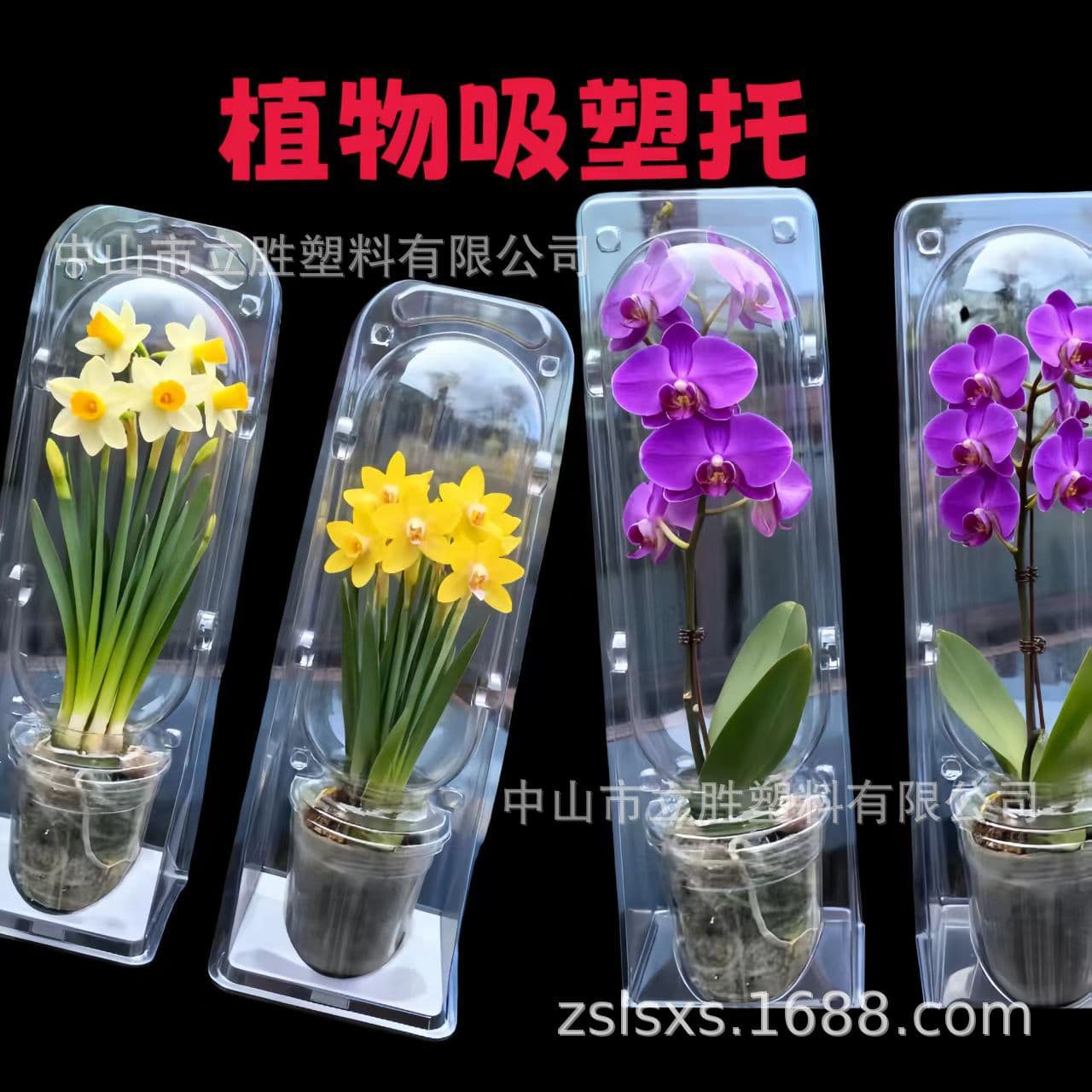 Customized blister trays for plants, blister packaging boxes, plastic blister trays for flowers and greenery.