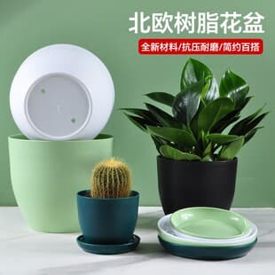 New Thickened Egg-Shaped Plastic Flower Pot, Nordic Simple Style, Home Large Size Matte Green Plant Floor Resin Flower Pot, Wholesale