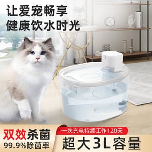 Cross-Border Hot Seller Automatic Cat Water Fountain, Pet Water Dispenser, Flowing Dog Fountain with Filter Bowl