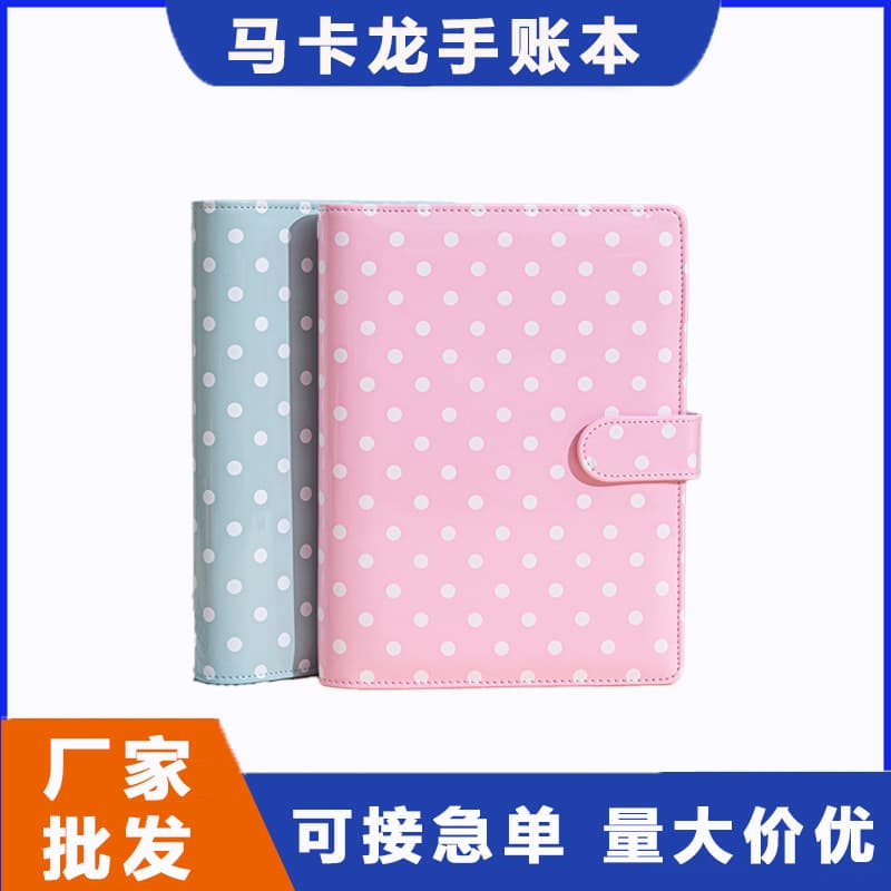 Cross-border popular A5 loose-leaf accounting book customized macaron dotted financial planning hand ledger work record book