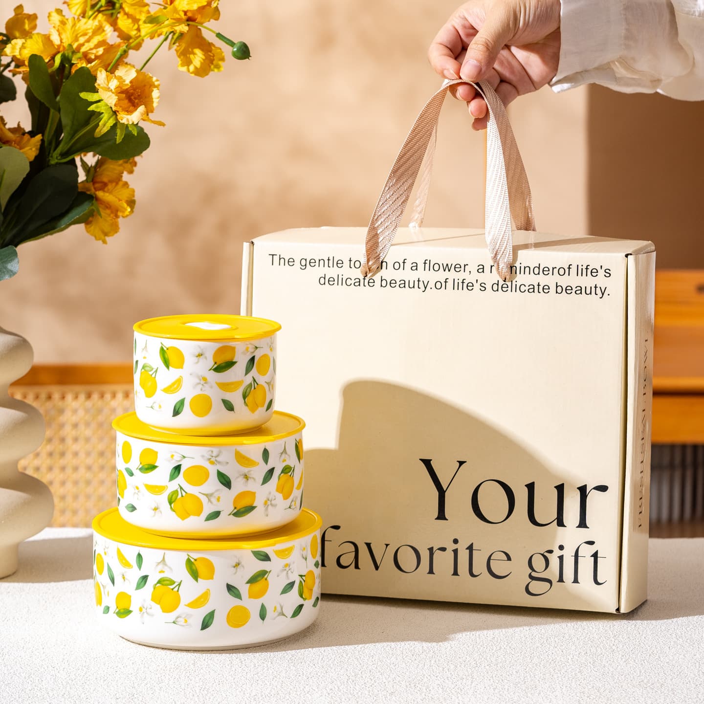 Ceramic Airtight Food Storage Bowl 3-Piece Gift Set Microwave Lunch Box with Lid Fruit Container Noodle Bowl Gift