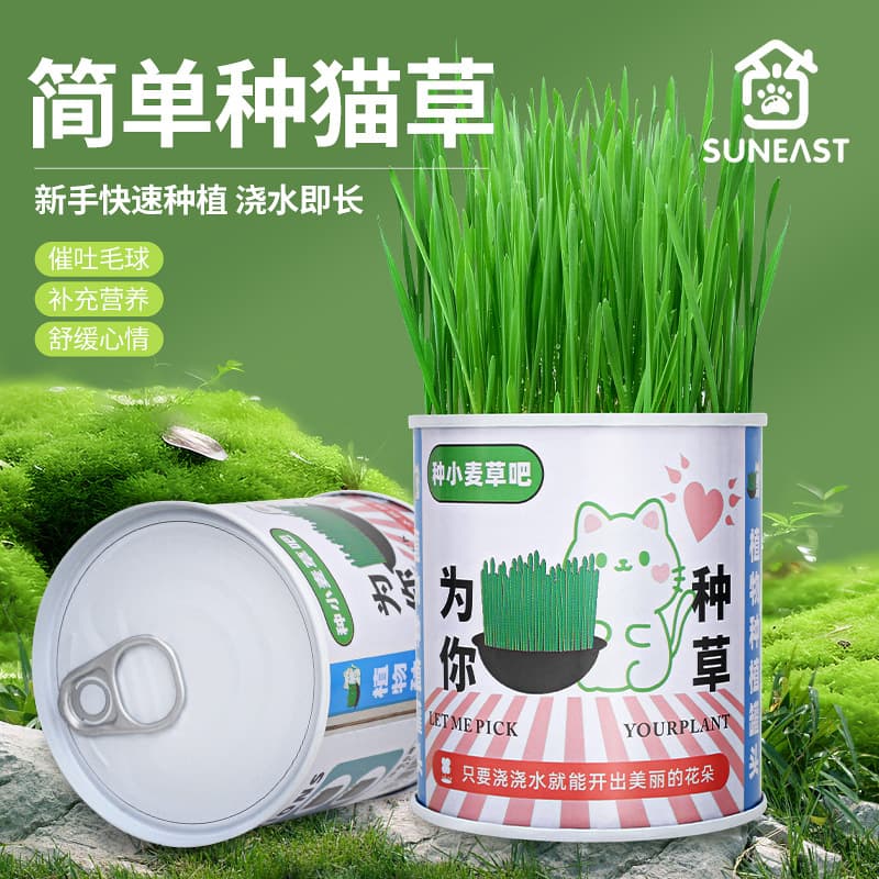 Cat Grass Can Wheat Hydroponic Cat Grass Planting Lazy Cat Grass Can Hairball Sheet Cat Grass Snack Cat Supplies