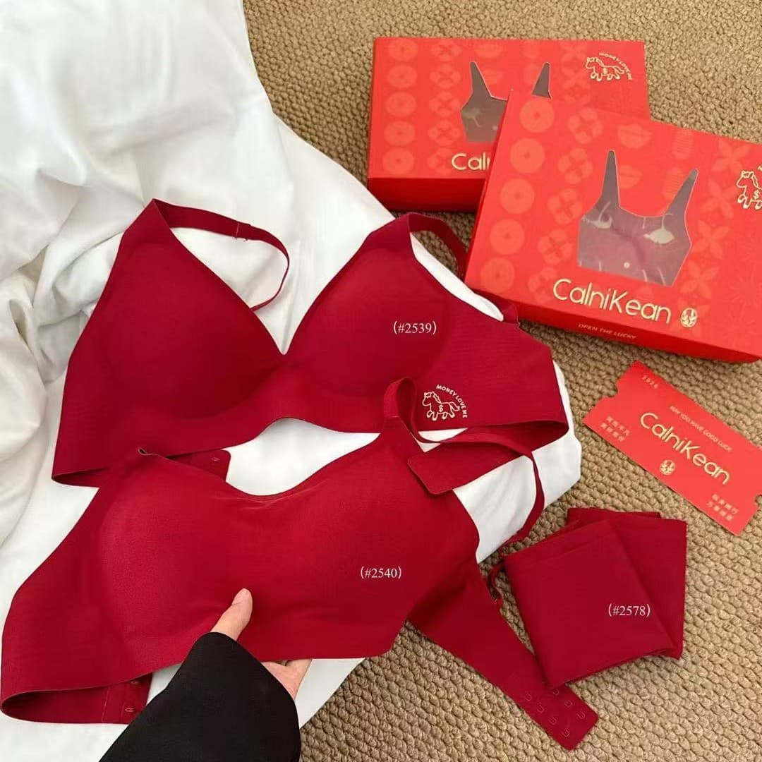 Year of the Horse Limited Edition Lucky Underwear Set for Women, Bright Red Panty Gift Box, Zodiac Year, Newlywed, Seamless Deep V Bustier