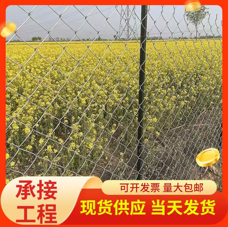 Custom Galvanized Diamond Chain Link Fence for Mining Slope Protection, Greenery, Villa Isolation, and Farm Security, Manufacturer