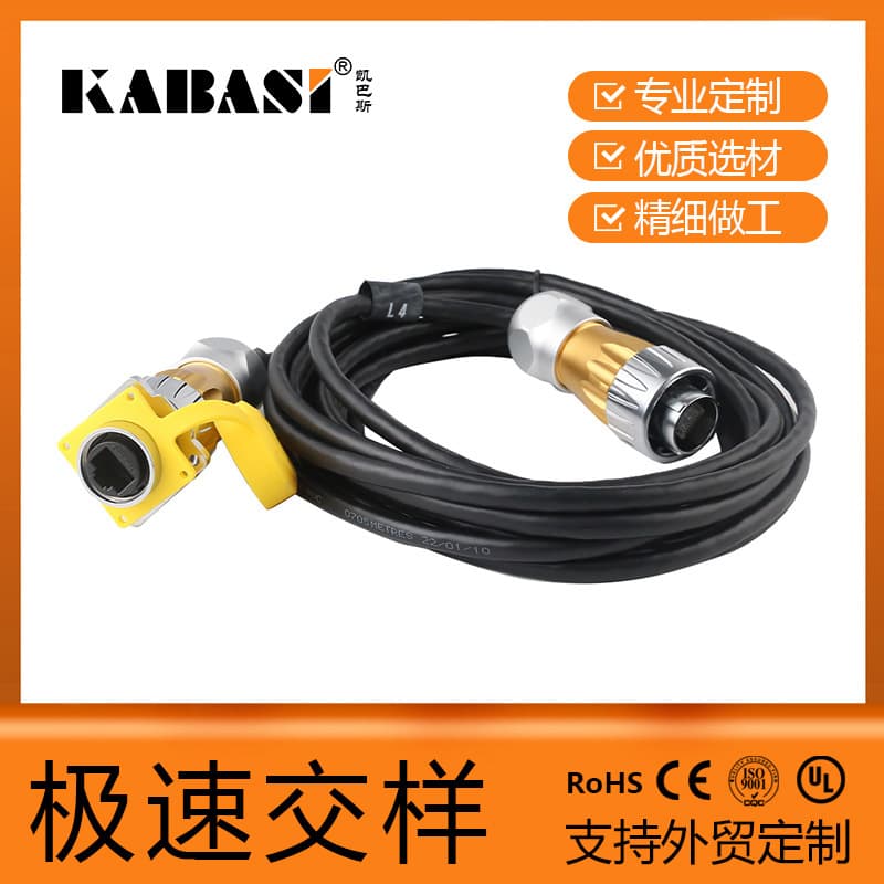 DH24 Waterproof Dual RJ45 Connector Harness Customization