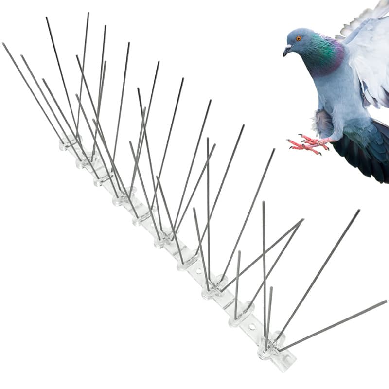 Cross-border plastic PC base stainless steel anti-bird spikes, anti-cat, anti-climb BirdSpikes 25cm 50cm repellent bird spikes