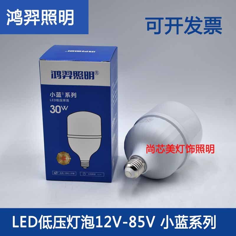 Hongyi 12V LED Light 36V Low Voltage Bulb 36V 24V LED Light AC/DC Battery Solar Energy Saving Light
