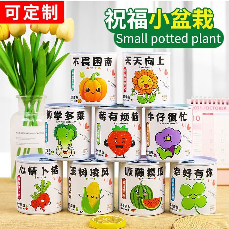 Creative Planting Can Blind Box Children Reward Small Gift Tin Can Desktop Plant DIY Potted Plant Factory Wholesale