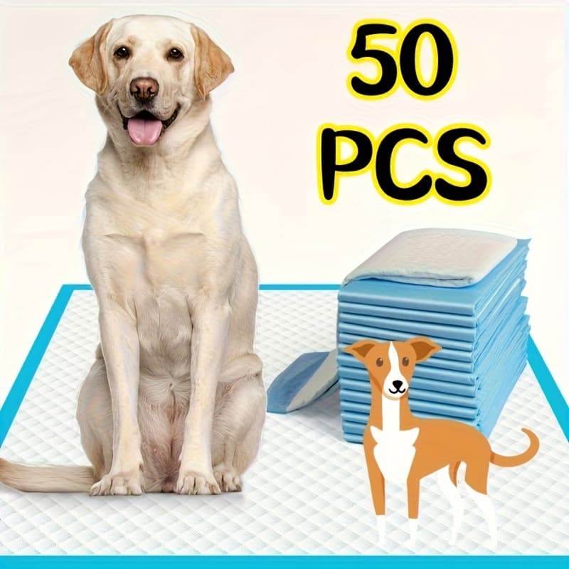 2026 New Cross-border Drop Shipping Disposable Training Pads