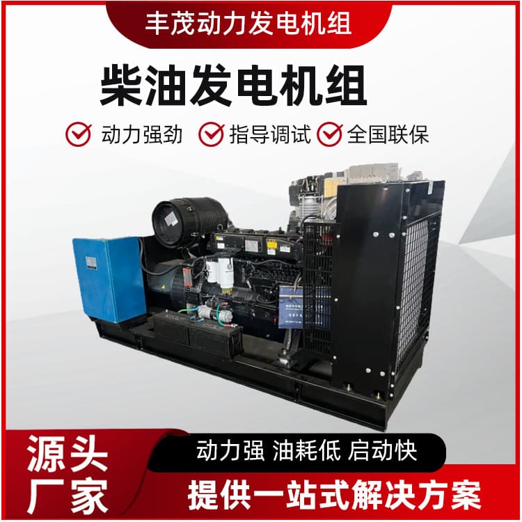 Diesel Generator Set 300kw Three-Phase Electric Start 300kW Scenic Area Emergency Generator