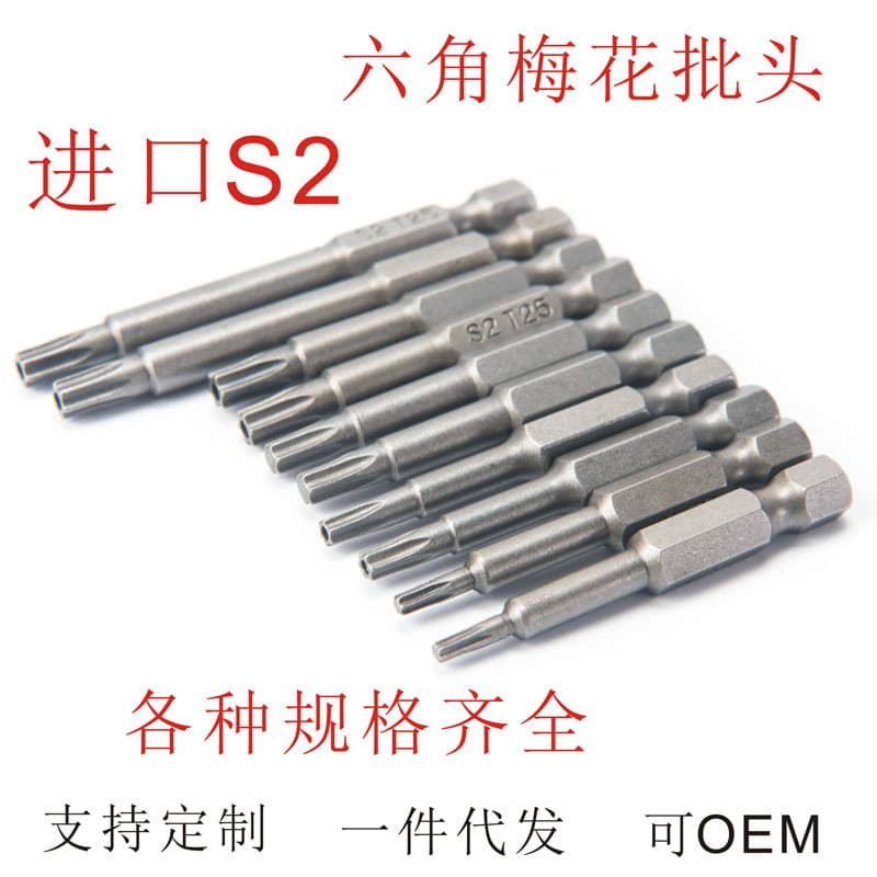 Strong Magnetic Single-End Solid Torx Bit, Hollow Security Screw Torx Air Bit with Hole Star Torx Tip