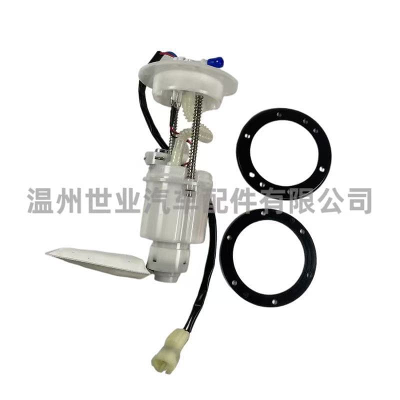 Source factory motorcycle fuel pump assembly 901F-150900 suitable for all-terrain vehicles and ATVs in stock