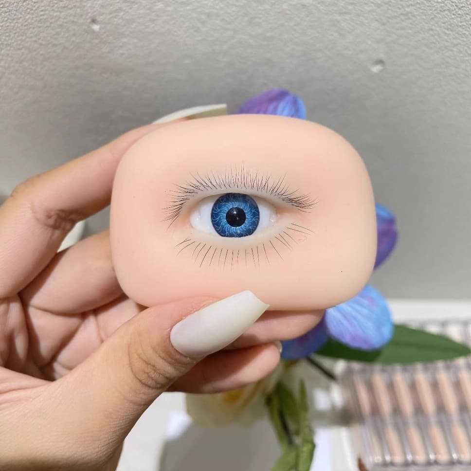 Eyelash Practice Tool with Upper and Lower Lashes, Eyelid Lifting, Single Tweezers Practice Module for Beginners