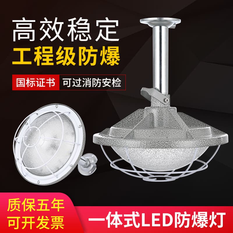 LED Explosion-Proof Light Industrial and Mining Light Warehouse Workshop Factory Light Corrosion Rust Waterproof High-Power Light Manufacturer Wholesale