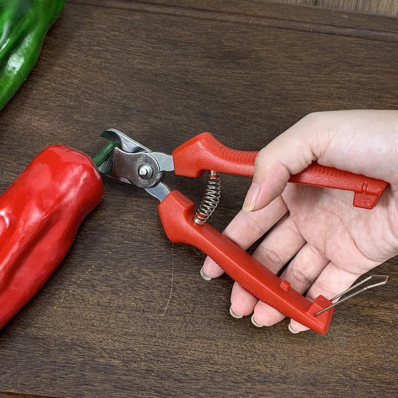 Stainless Steel Nest-Type Fruit Picking Scissors Tomato Apple Scissors Orange Harvesting Scissors Fruit Stem Concave Pruning Shears Household