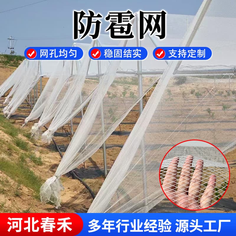Custom white hail net made from all-new antioxidant material for orchards, farmland, gardens, and greenhouse protection.