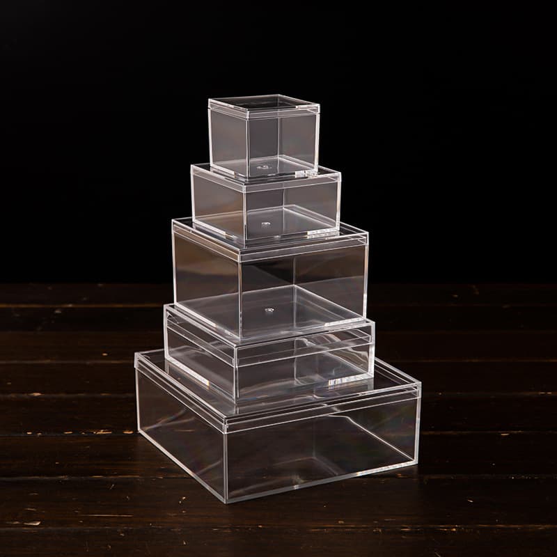 Transparent Plastic Square Box with Lid Plant Scenery Packaging Chocolate Food Gift Candy Right Angle Semi High Packaging