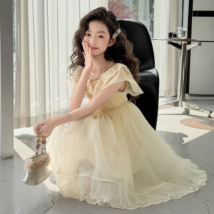Girls Summer Lace Dress 2026 New Stylish Mesh Princess Dress Children's Formal Gown