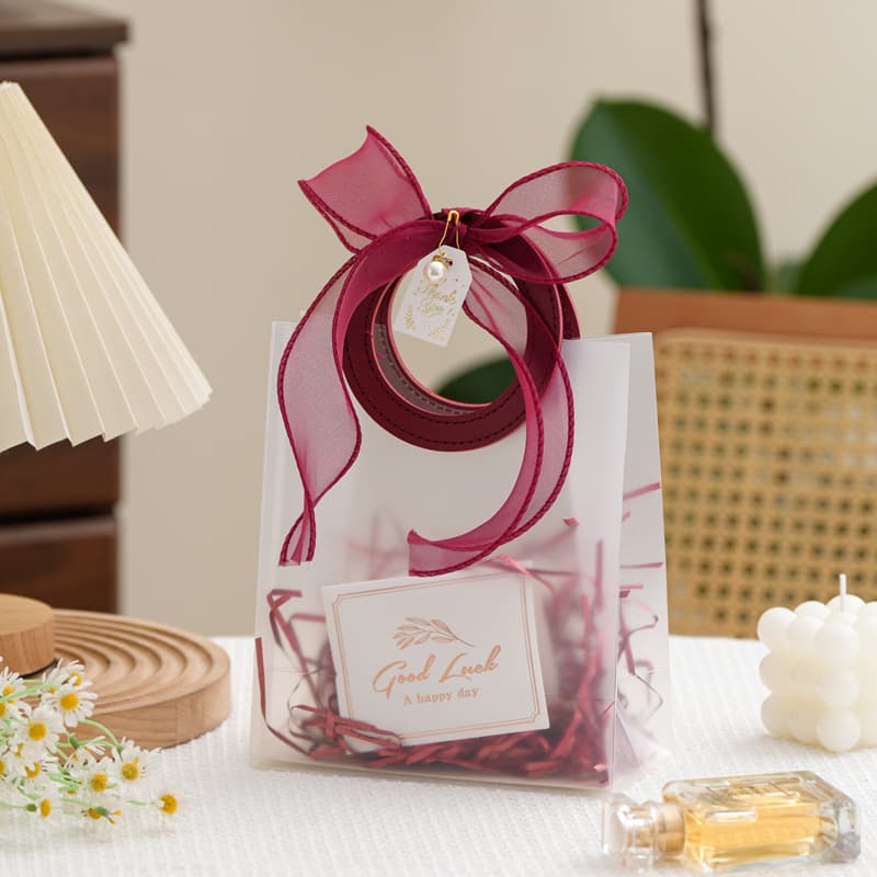 Gift Bag Handbag Premium Feeling Party Favor Bag Birthday Wedding Thanksgiving Gift Packaging Bag Small Transparent