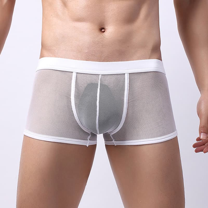 Men's Underwear Mesh Breathable Boxer Briefs Mid-Rise Transparent Boxers Youth Personality Underpants Export Hot Style