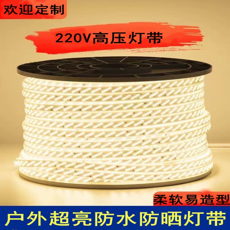 LED Strip Light 220V Flexible Linear Light, High Voltage Strip for Living Room Ceiling, Outdoor Waterproof Project Site Lighting