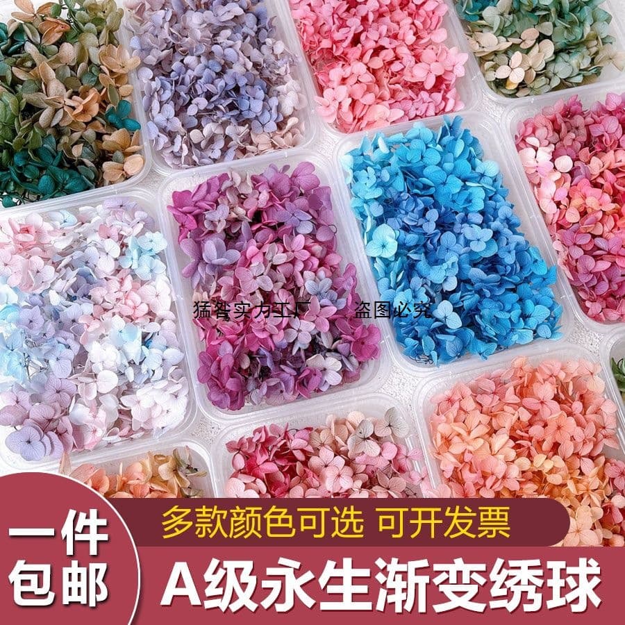 DIY Dried Flower Face Makeup Eternal Flower Anna Hydrangea Material Package Fan Photo Frame Floating Team Building Salon Wedding Shoes
