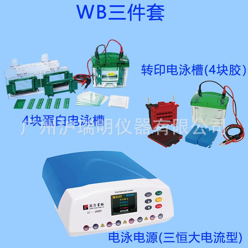 High-Current Electrophoresis Tank Set Protein Transfer Tank Group with LF-2000T/LF-Mini4 Electrophoresis Apparatus LF-ZY04