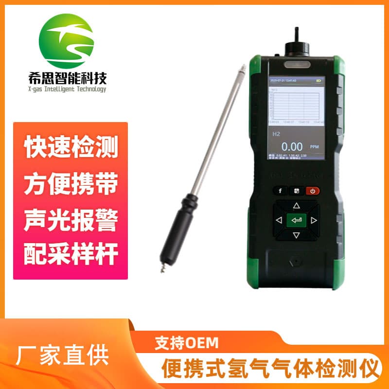 Portable Hydrogen Detector Manufacturer Direct Handheld H2 Gas Detector High-Precision Hydrogen Detector