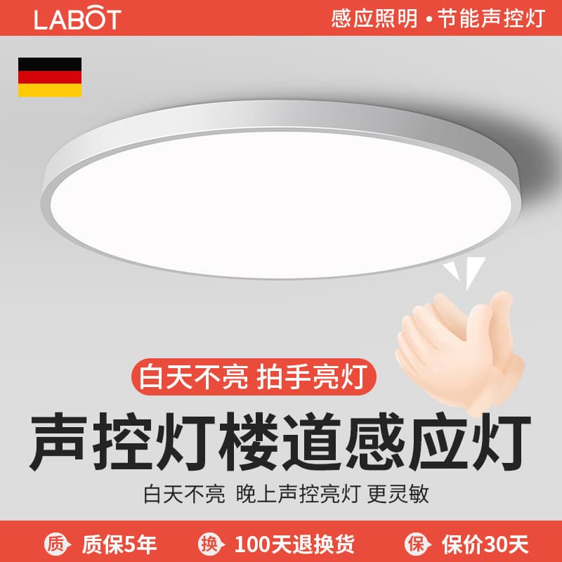 Integrated Sound Sensor Corridor Light with Radar Motion Detection, Public Staircase Night Lighting, Ceiling Lamp for Hallways