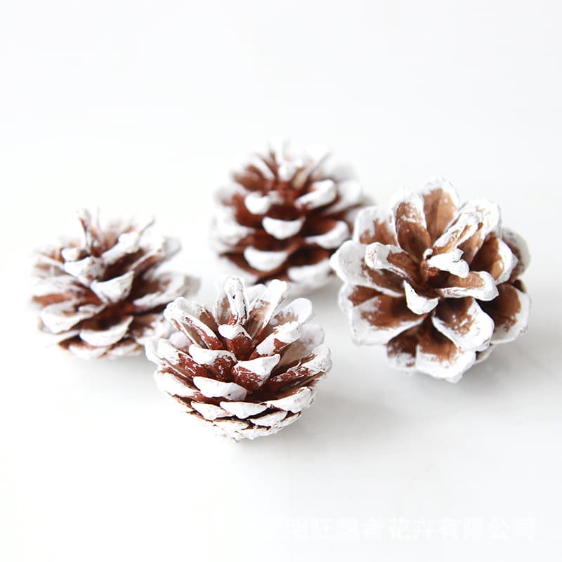 Dried Flower DIY Materials [Dried Fruit] Visionary Scented Candle Plant Specimen Handcraft Class Dried Flowers and Branches Materials