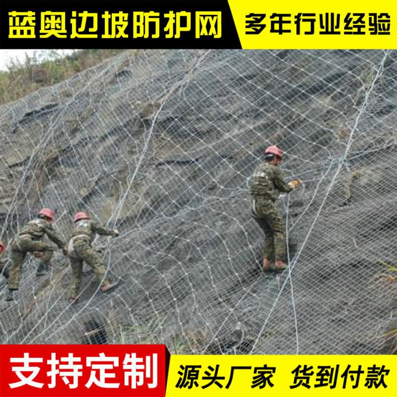 Active Protection Net SNS Type Flexible Mountain Slope Netting Passive Protection Net GPS Slope Active Protection Net