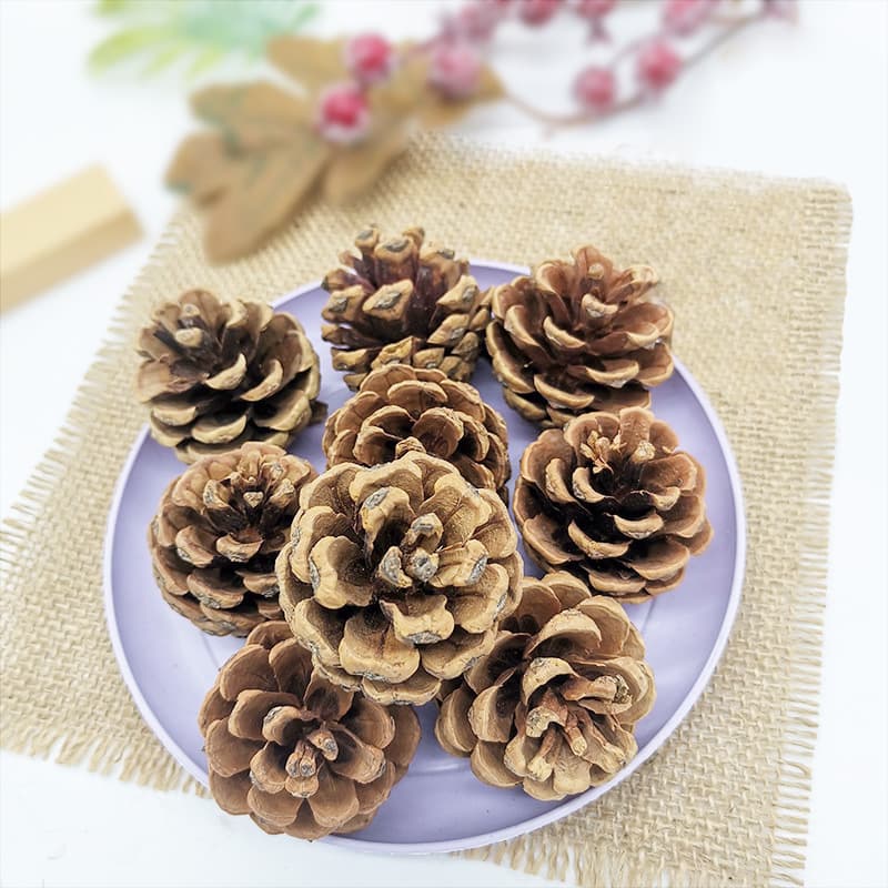 Natural Pinecone Christmas Decoration Wooden Dried Flower Everlasting Flower Dyed White Pinecone DIY Accessories Christmas Fruit Wholesale