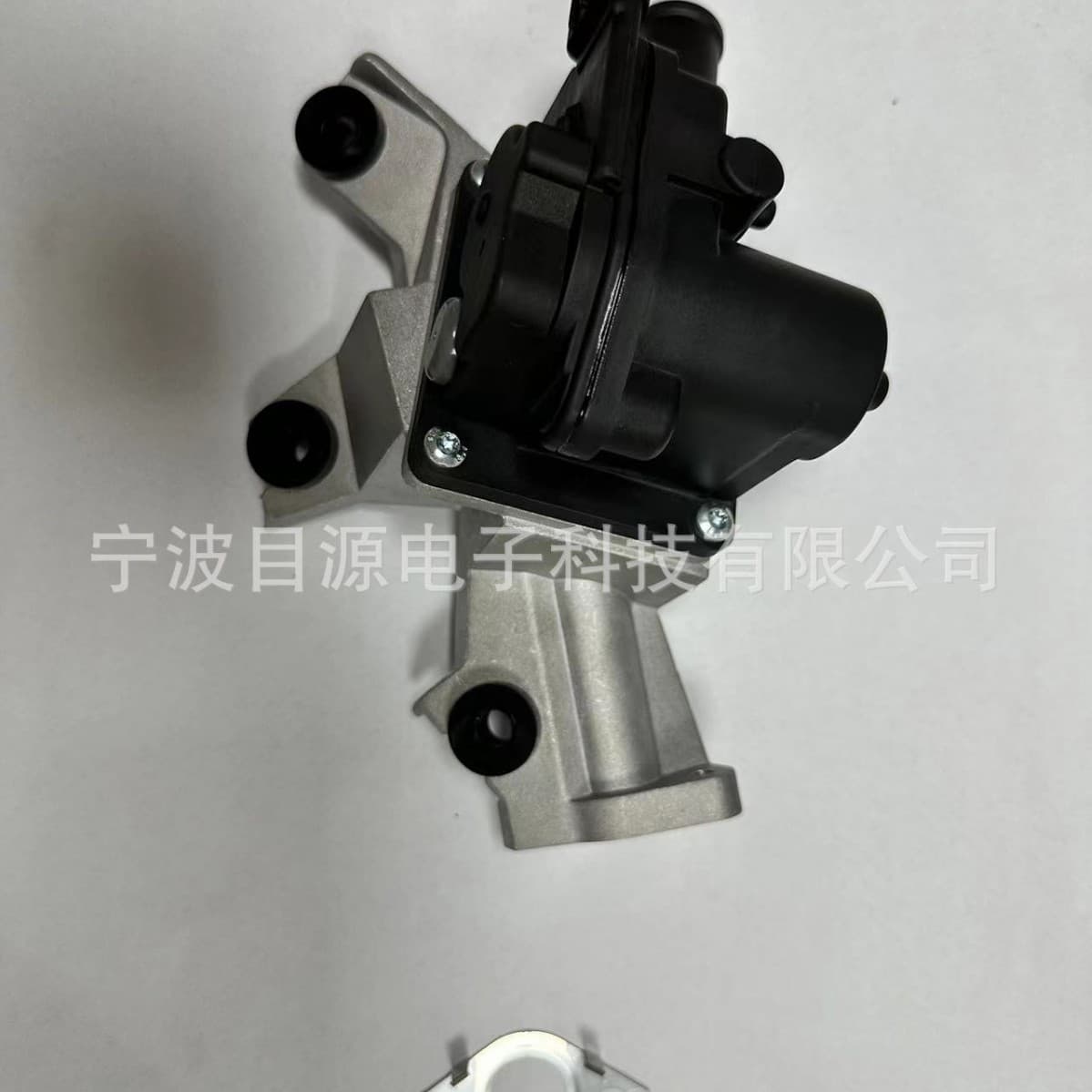 Secondary air check valve, air valve 2570238050 911624