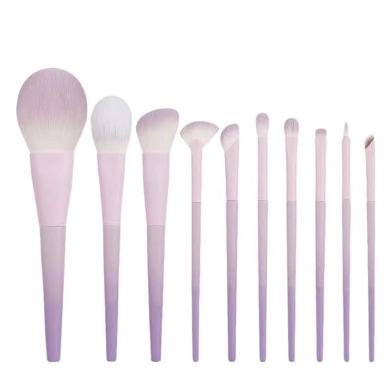 Portable 10 Piece Makeup Brush Set for Beginners Pink Purple Eyeshadow Blush Brush Powder Brush Cosmetic Brushes Kit Nylon Bristles