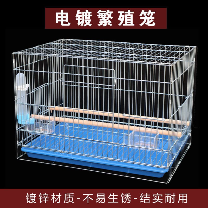 Budgie Bird Cage Medium Large Electroplated Peony Myna Starling Thickened Breeding Cage Large Size Electroplated
