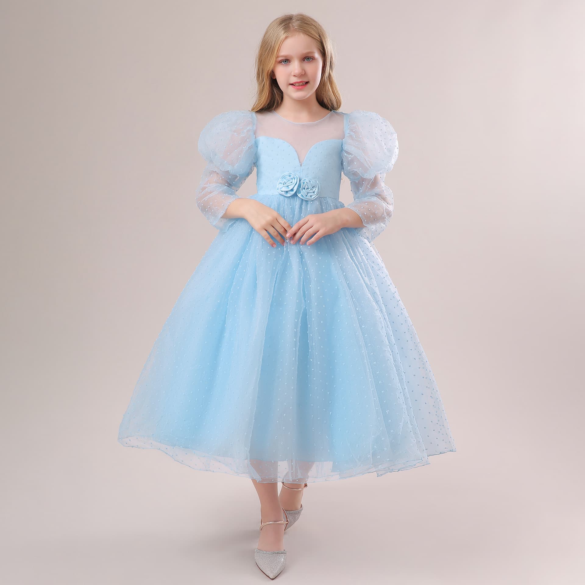 2026 new cross-border children's dress long-sleeved princess dress puff-sleeved long tutu skirt mesh dress children's clothing